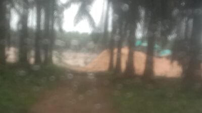 Sudah pernah di lakukan tindakan tegas dari aph para pekerja tambang timah di PT gbsl dusun ibul masih membandel