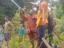 Kepala Pekon Kedamaian Harapkan Dinsos Tanggamus Peduli, Atas Terbakar nya Rumah warga