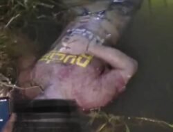 Heboh.! Lagi-Lagi Warga Batang Hari Temukan Mayat Mengapung Di sungai