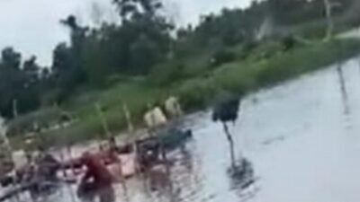 Lahan Pemkot kota pangkal pinang air mawar kembali terlihat pemandangan aktivitas tambang timah iilegal