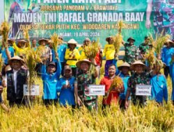 Tiga Daerah di Jatim Masuki Panen Raya Serentak