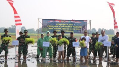 TMMD ke-120 Kodim 0816 Sidoarjo Dukung Ketahanan Pangan di Desa Penambangan