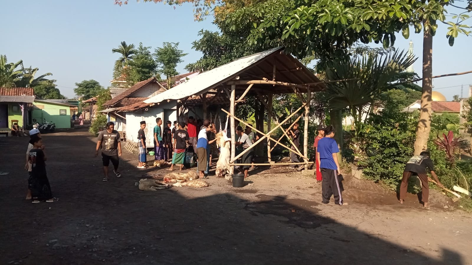 Melihat Peringatan Hari Raya Idul Adha di Ponpes Khomsani Nur Klanting Lumajang