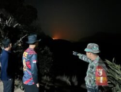 15 Hektare Lahan di Tahura Bukit Watu Jengger Mojokerto Ludes Terbakar, Api Baru Padam 11 Jam Kemudian