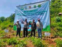 Penanaman 30.000 Pohon di Desa Wonosunyo Pasuruan Berlangsung Semarak