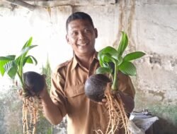 Keteladanan Seorang Kepala Desa Yang Penuh Kreatifitas