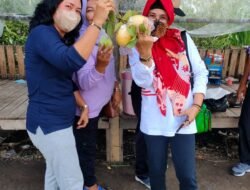 Tinjauan Kepala Dinas Pemuda Olah Raga Kebudayaan dan Pariwisata Kabupaten Sidoarjo Ke Wisata Kebun Jambu Kebaron