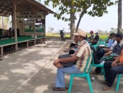 Program IPDMIP di Ngawi, Fasilitasi Rantai Nilai Lanjutan